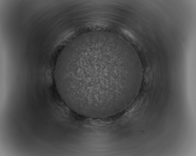 X0000088190774200705221701