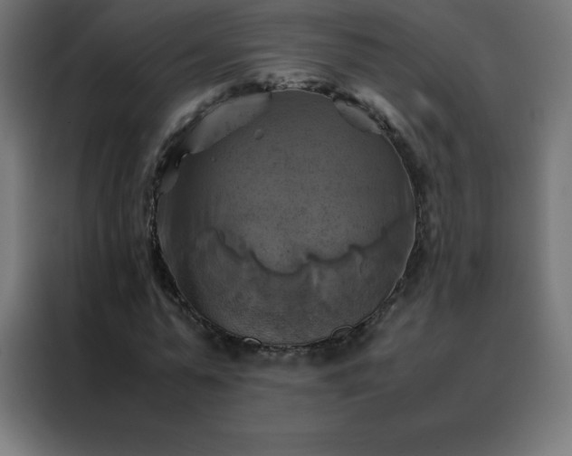 X0000088190775200705221701