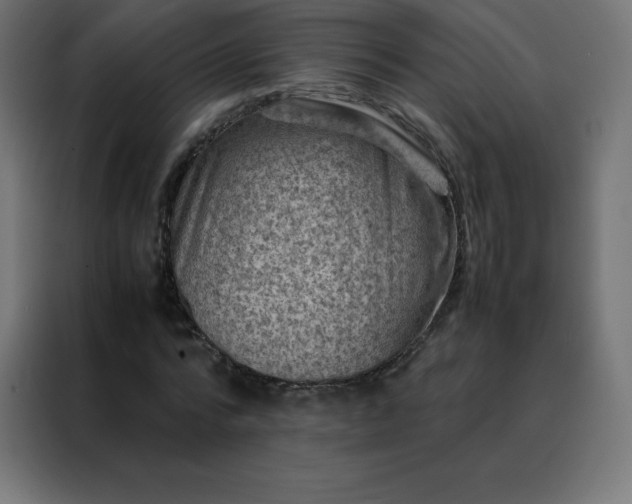 X0000088190776200705221701