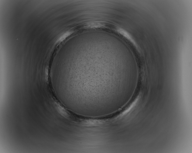 X0000088190777200705221701