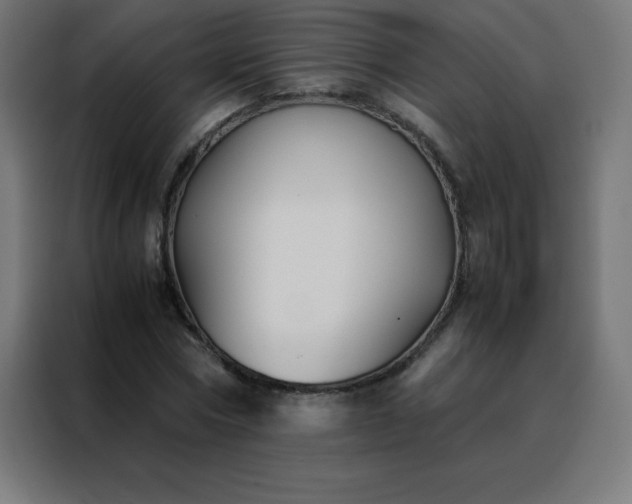 X0000088190778200705221701