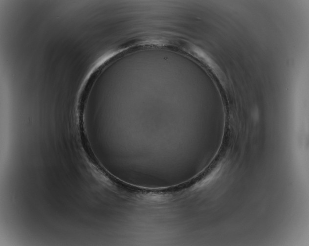X0000088190779200705221701