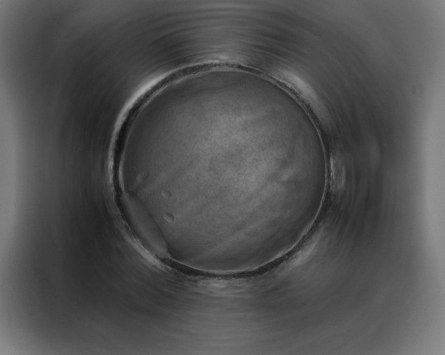 X0000088190780200705221701