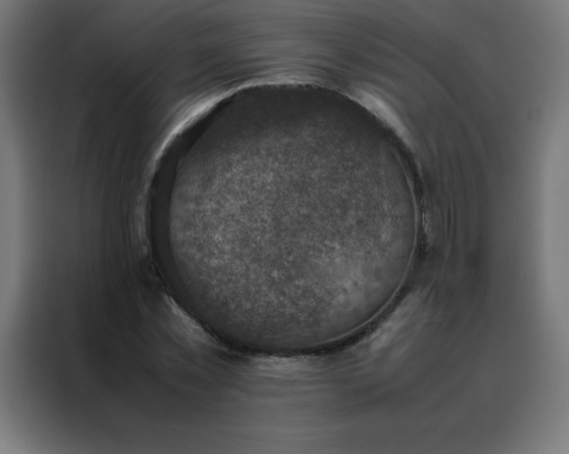 X0000088190781200705221701
