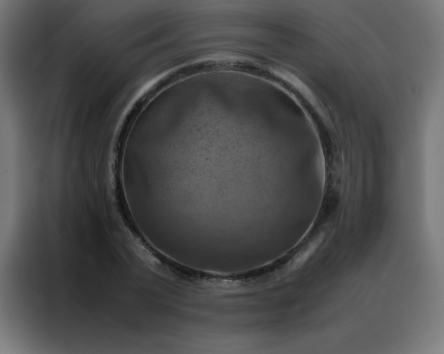 X0000088190783200705221701