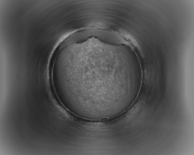 X0000088190784200705221701