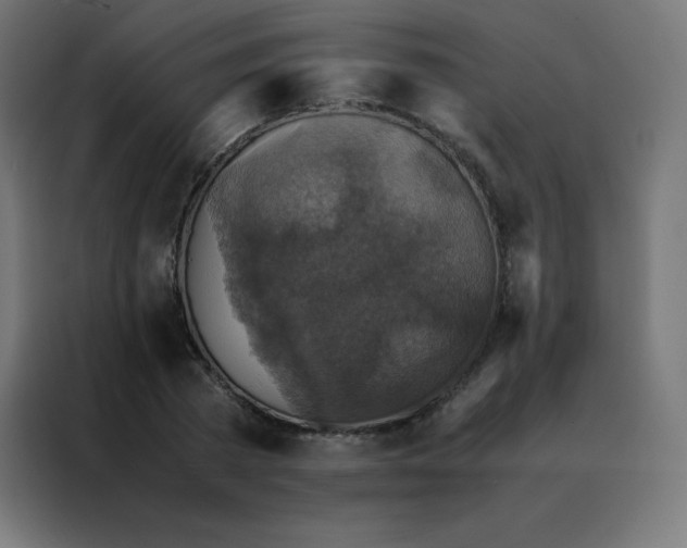 X0000088190785200705221701