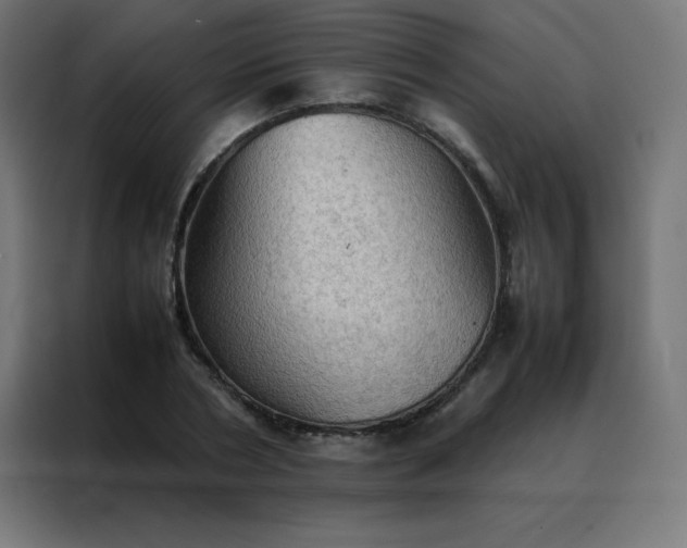 X0000088190786200705221701