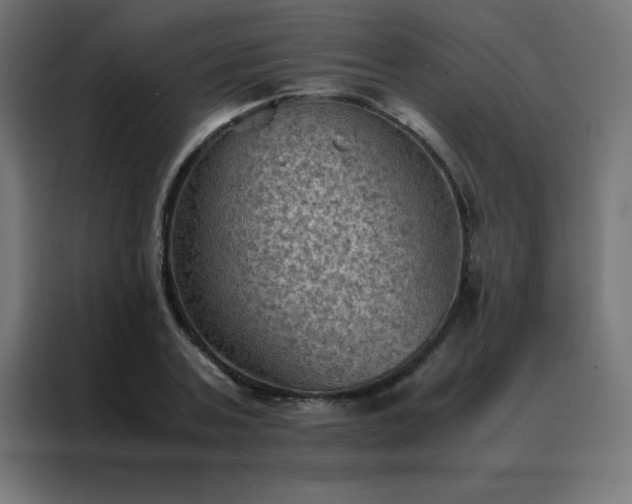 X0000088190787200705221701