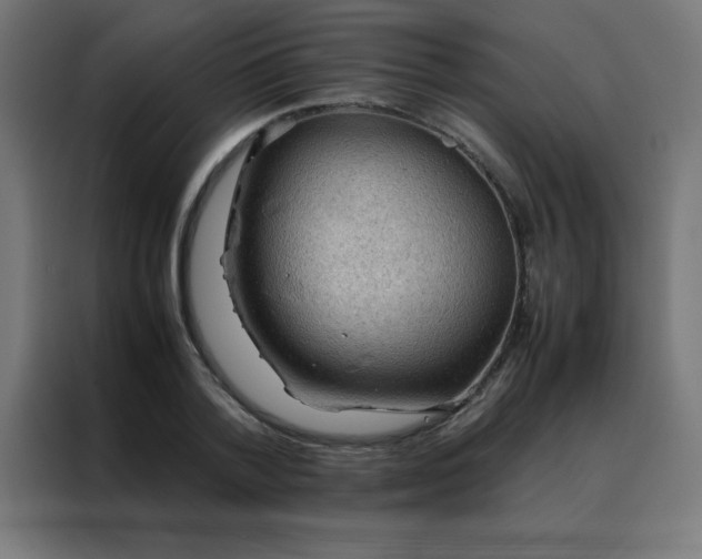 X0000088190788200705221701