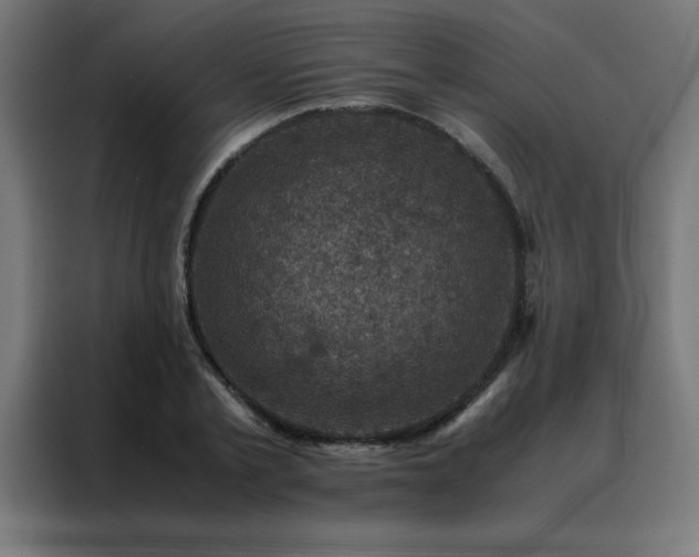 X0000088190789200705221701
