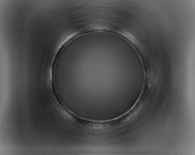 X0000088190790200705221701