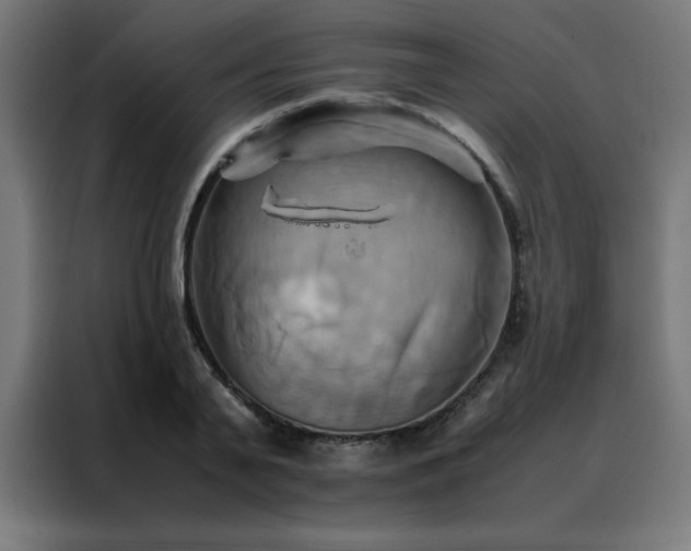 X0000088190791200705221701