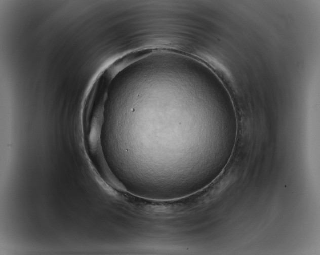 X0000088190792200705221701