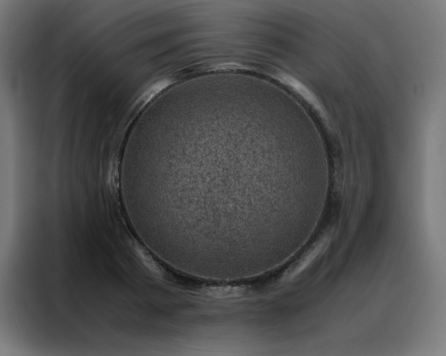 X0000088190793200705221701