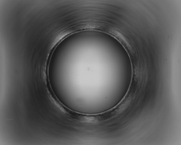 X0000088190794200705221701
