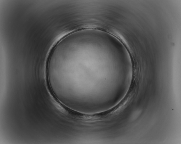 X0000088190795200705221701