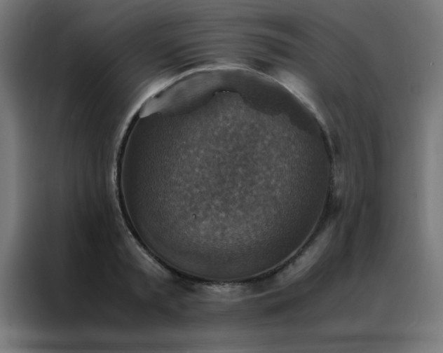 X0000088190797200705221701