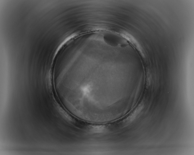 X0000088190798200705221701