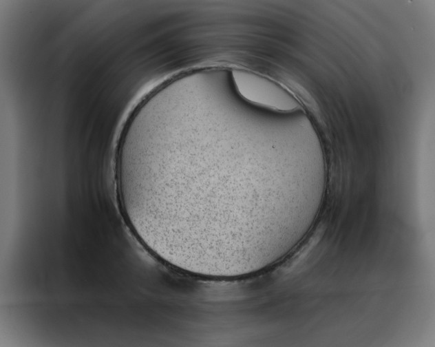 X0000088190800200705221701