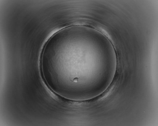 X0000088190803200705221701