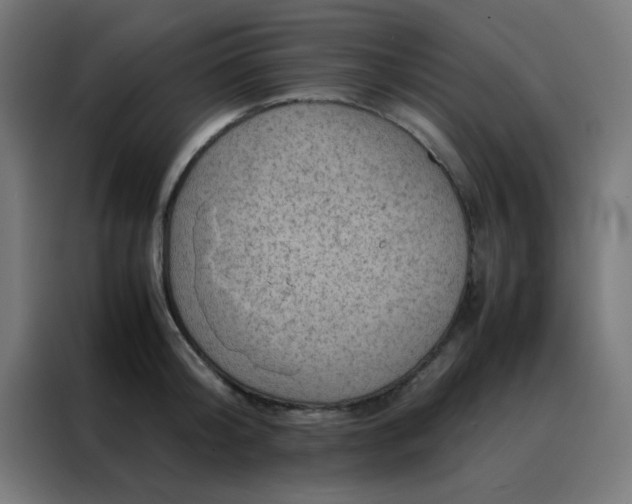 X0000088190804200705221701