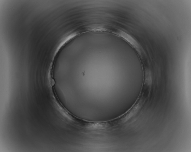 X0000088190806200705221701