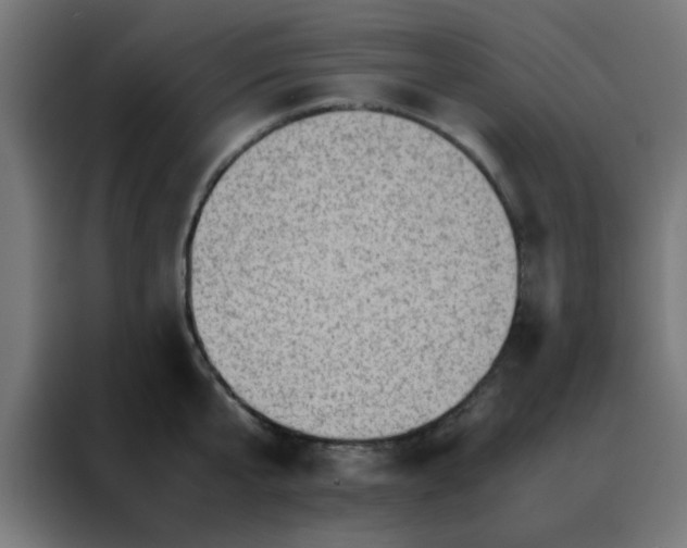 X0000088190807200705221701