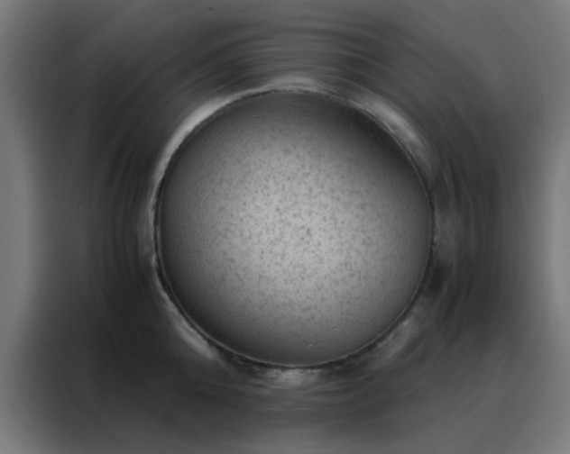 X0000088190808200705221701