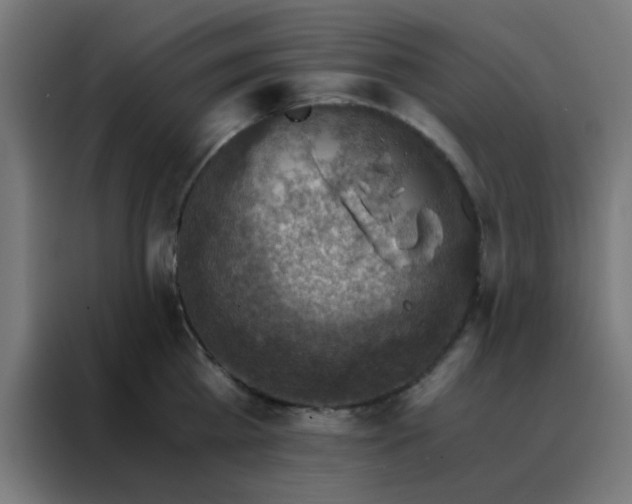 X0000088190809200705221701