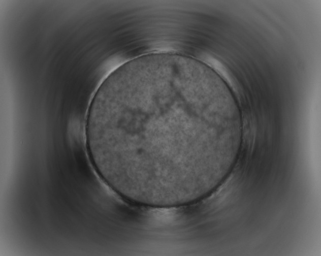 X0000088190810200705221701