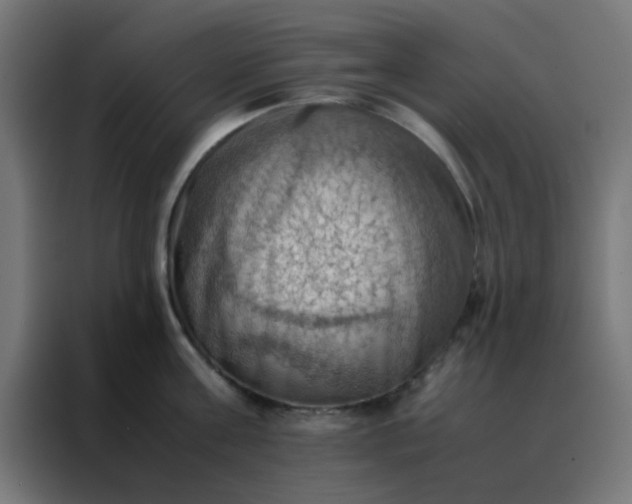 X0000088190811200705221701