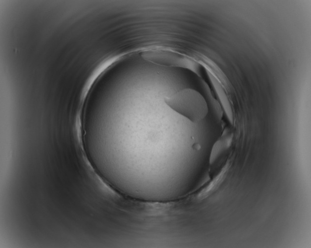 X0000088190812200705221701