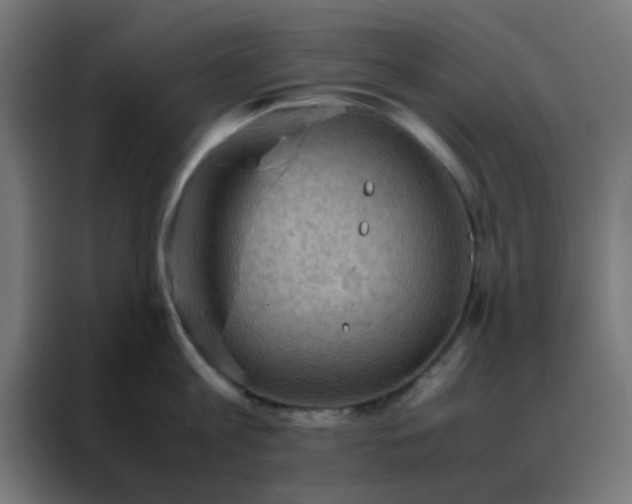 X0000088190813200705221701