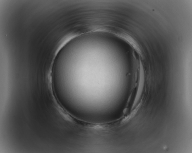 X0000088190814200705221701