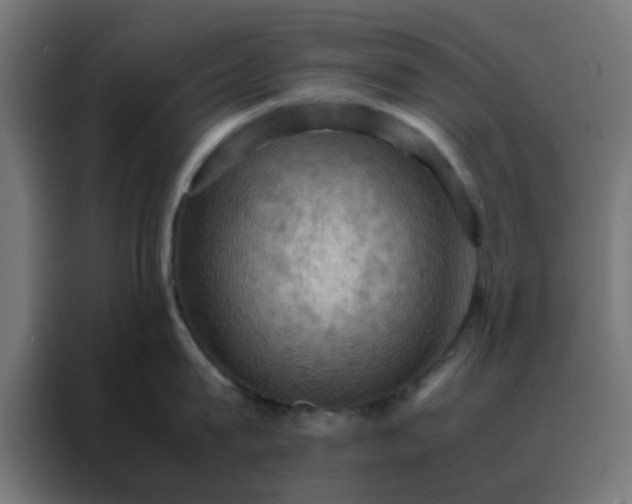 X0000088190815200705221701