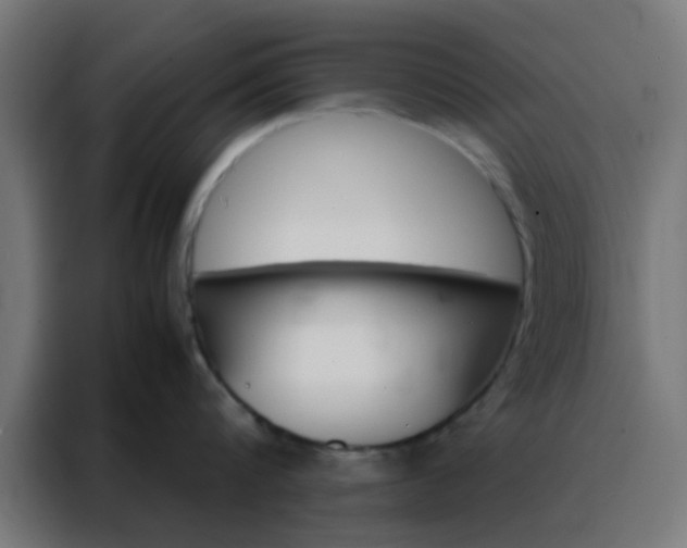X0000088190816200705221701