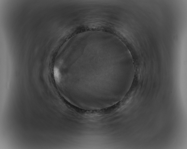 X0000088190817200705221700