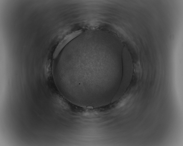 X0000088190818200705221700