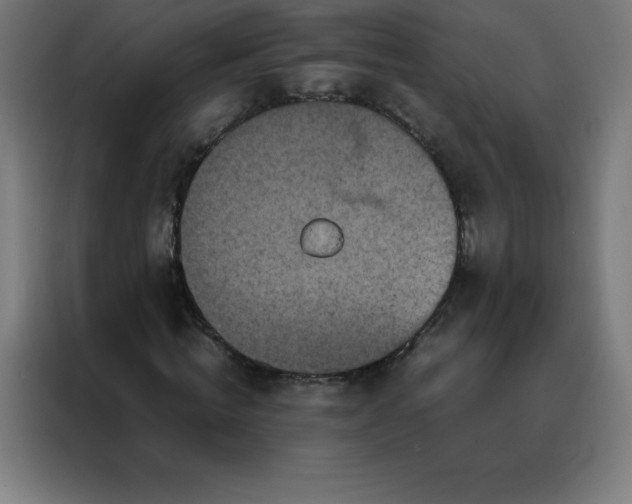 X0000088190820200705221700