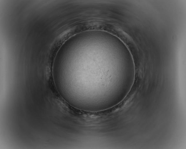 X0000088190821200705221700