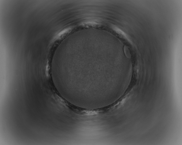 X0000088190822200705221700