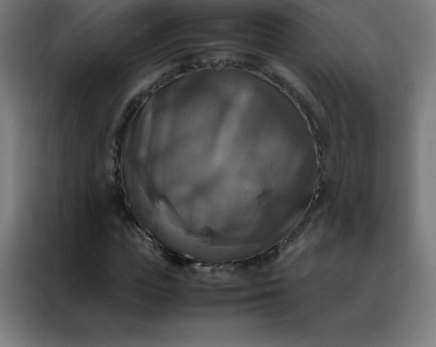 X0000088190823200705221700