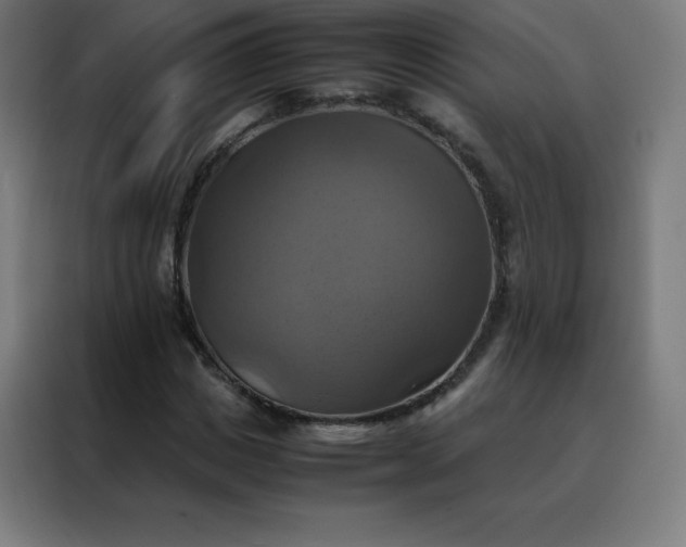 X0000088190825200705221700