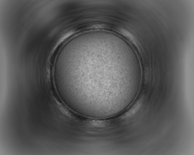 X0000088190827200705221700