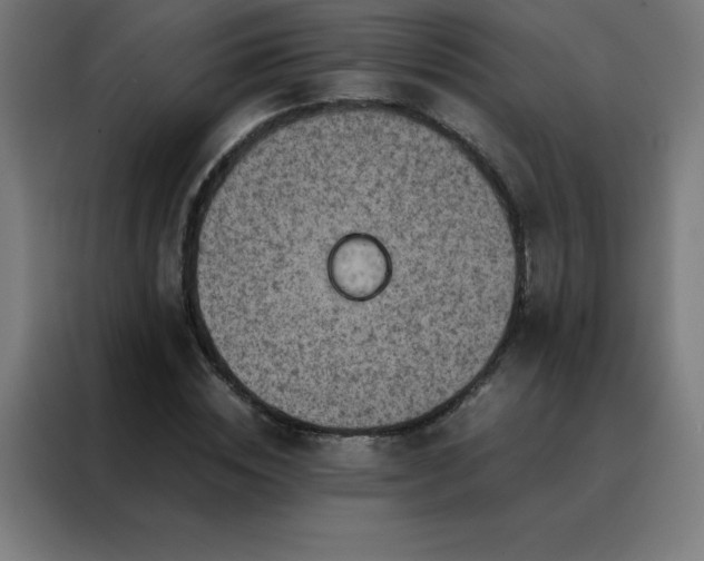 X0000088190828200705221700