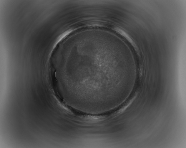 X0000088190829200705221700