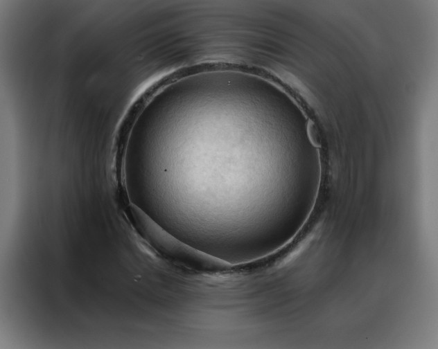 X0000088190830200705221700