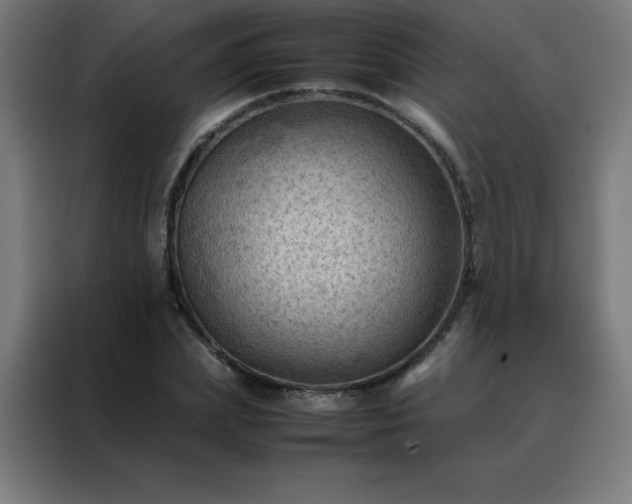 X0000088190831200705221700