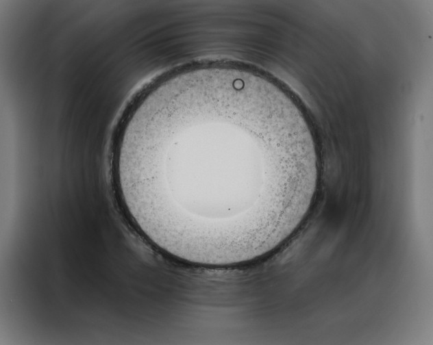 X0000088190832200705221700